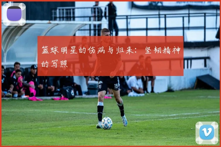 篮球明星的伤病与归来：坚韧精神的写照