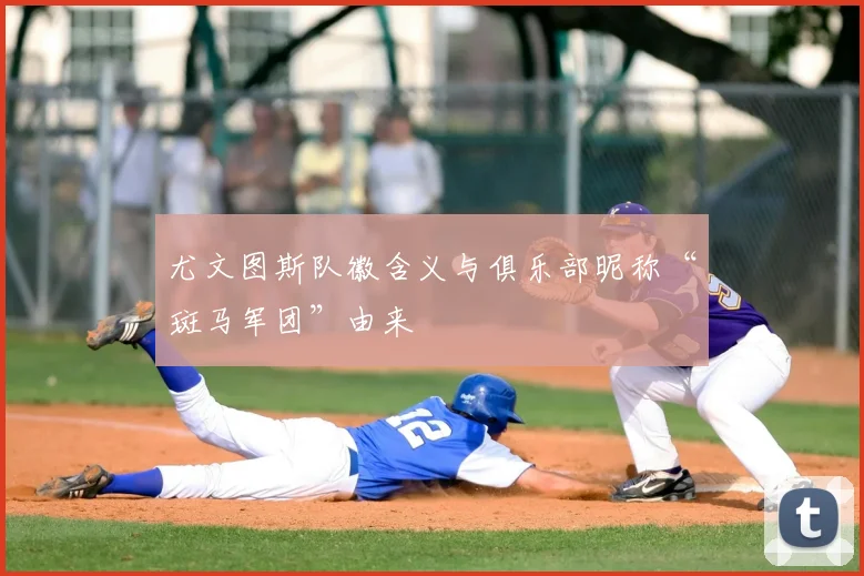 尤文图斯队徽含义与俱乐部昵称“斑马军团”由来