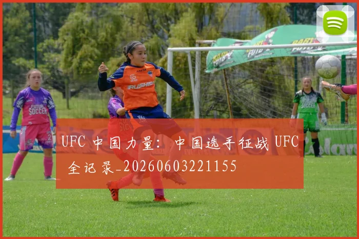 UFC 中国力量：中国选手征战 UFC 全记录_20260603221155