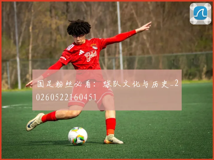 国足粉丝必看：球队文化与历史_20260522160451